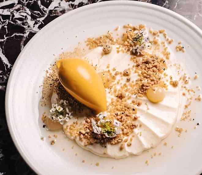 Apricot | Semolina | Salted Lemon